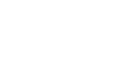 company profile